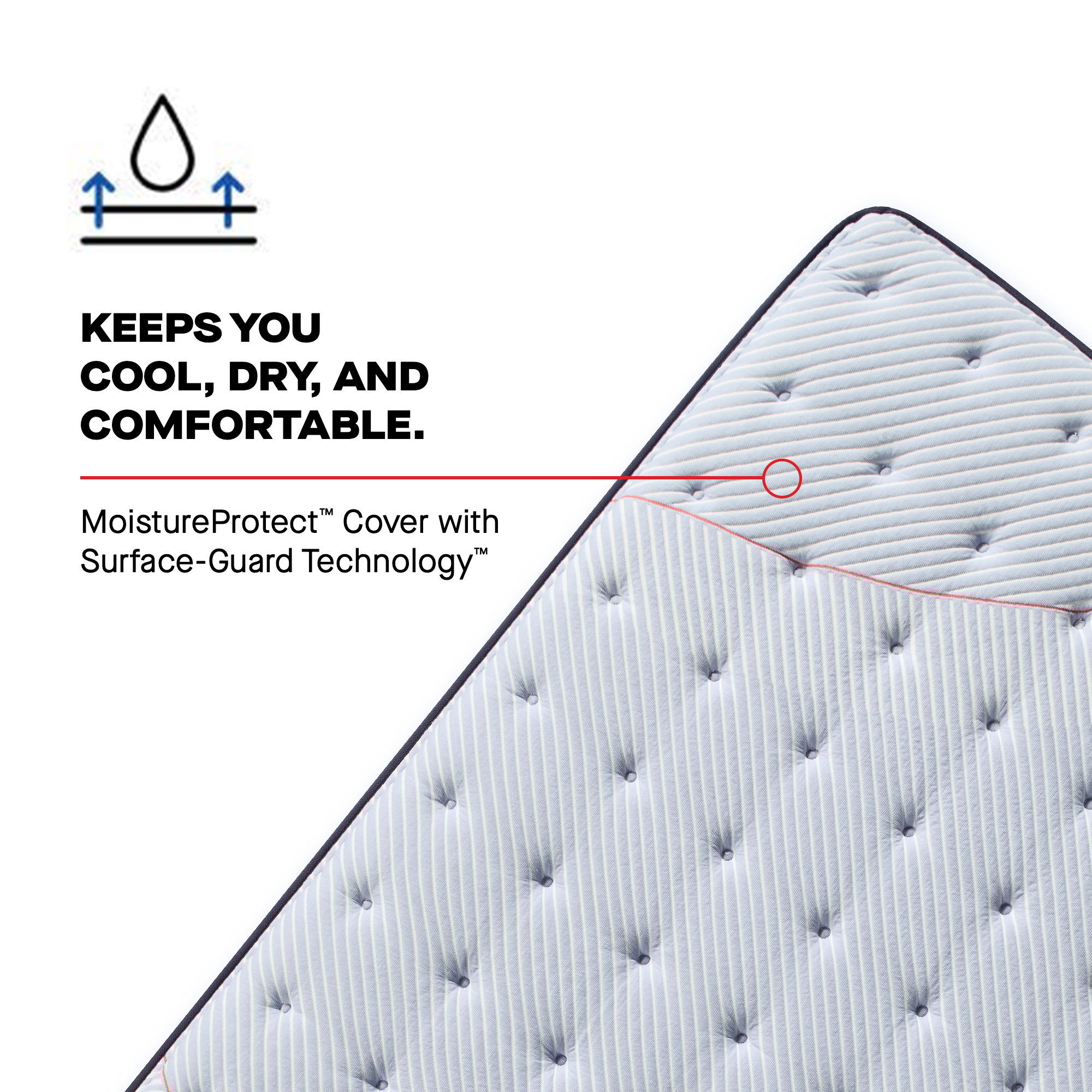 Sealy Posturepedic® Montvale Tight Top Firm Montvale Tight Top Firm Twin