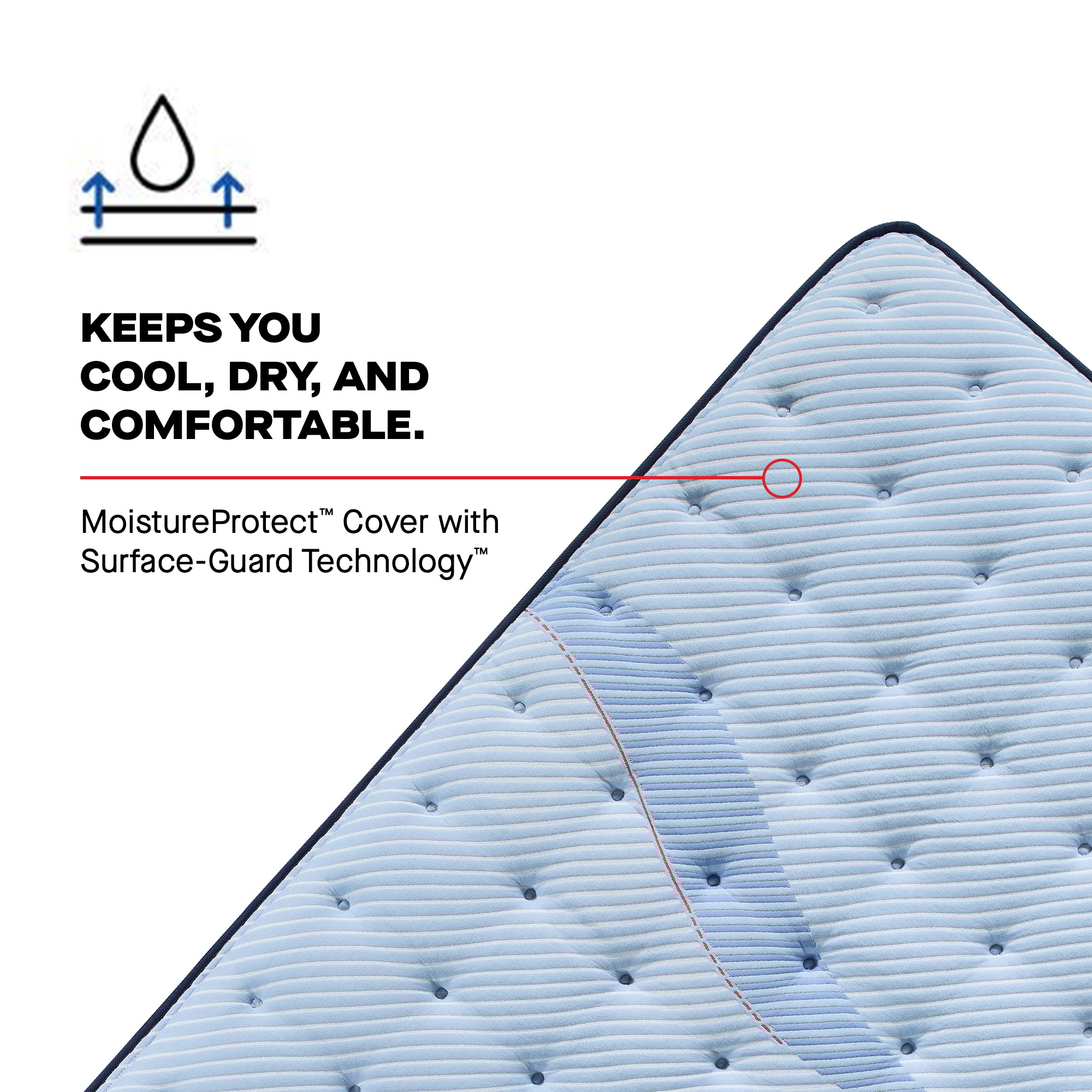 Sealy Posturepedic® Plus Keyport EPT Firm Keyport Euro Pillow Top Firm Queen