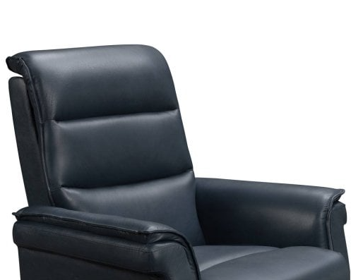 Barcalounger Standish Power Lift Recliner