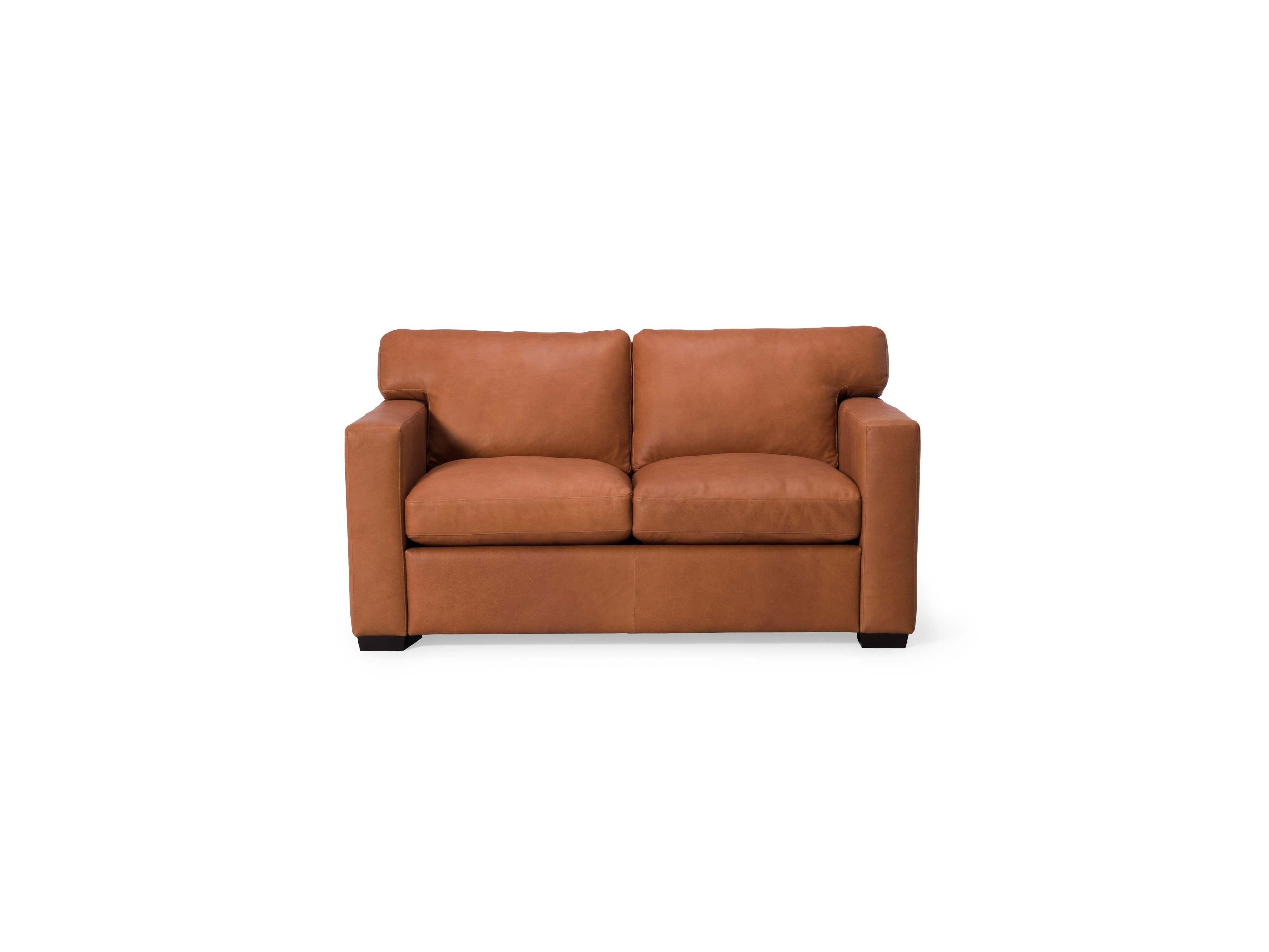 Madison Stationary Loveseat