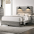 Crown Mark Carter Contemporary Queen Low Profile Bed with Built-In Lighting