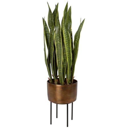 Fasita Brass Planter 2 Cartons