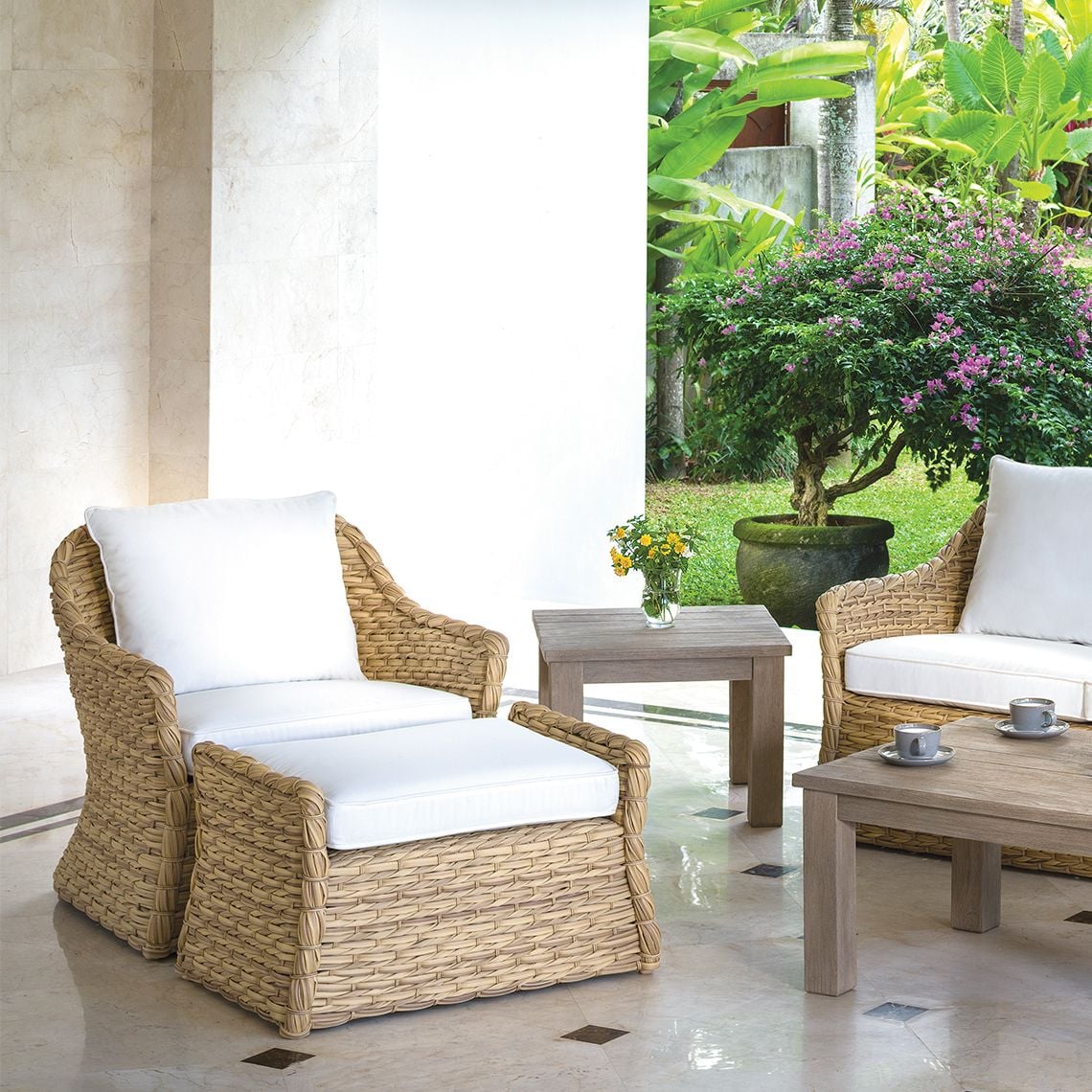 Collection Thumbnail