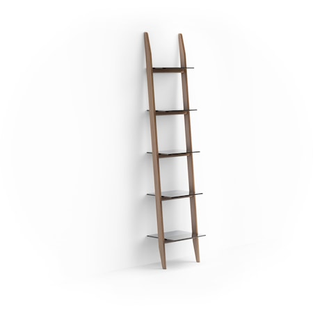 Contemporary Single Leaning Ladder Shelf