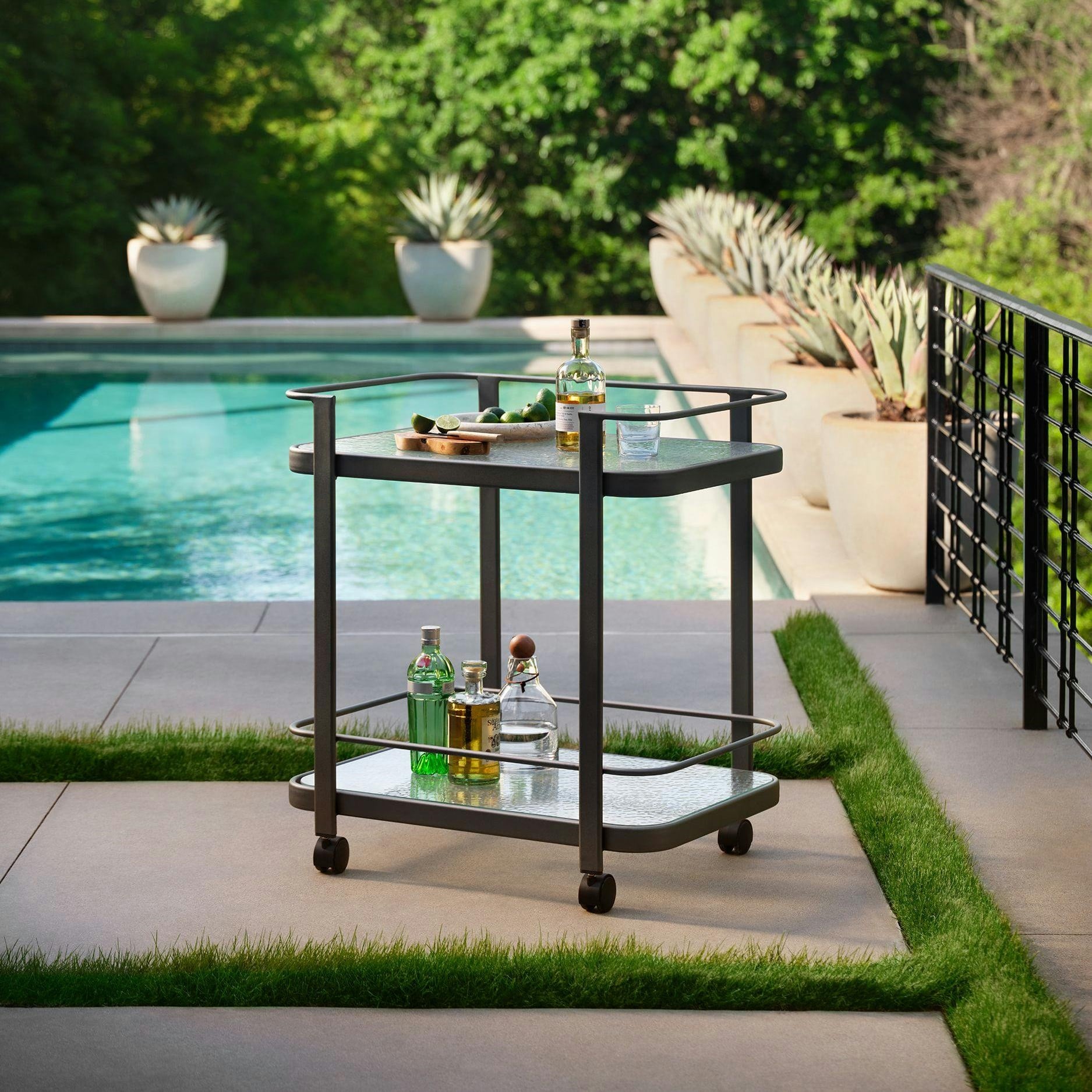 Collection Thumbnail