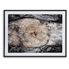 Ashley Signature Design Freyburn Wall Art