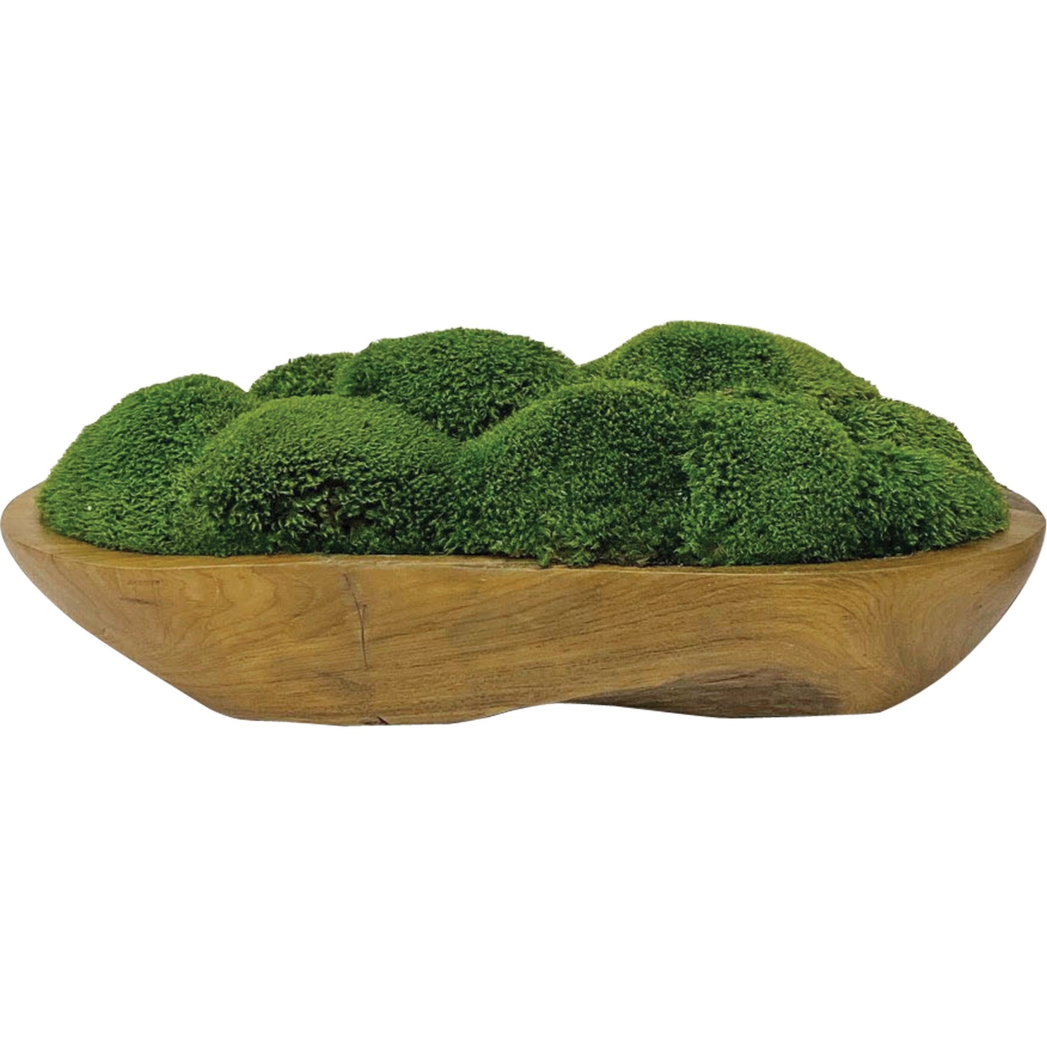 Kinsale Moss Centerpiece