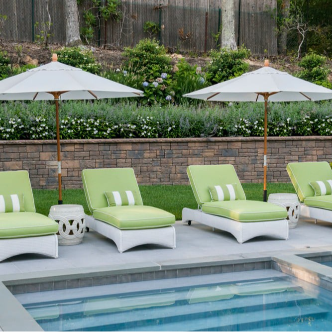 Collection Thumbnail