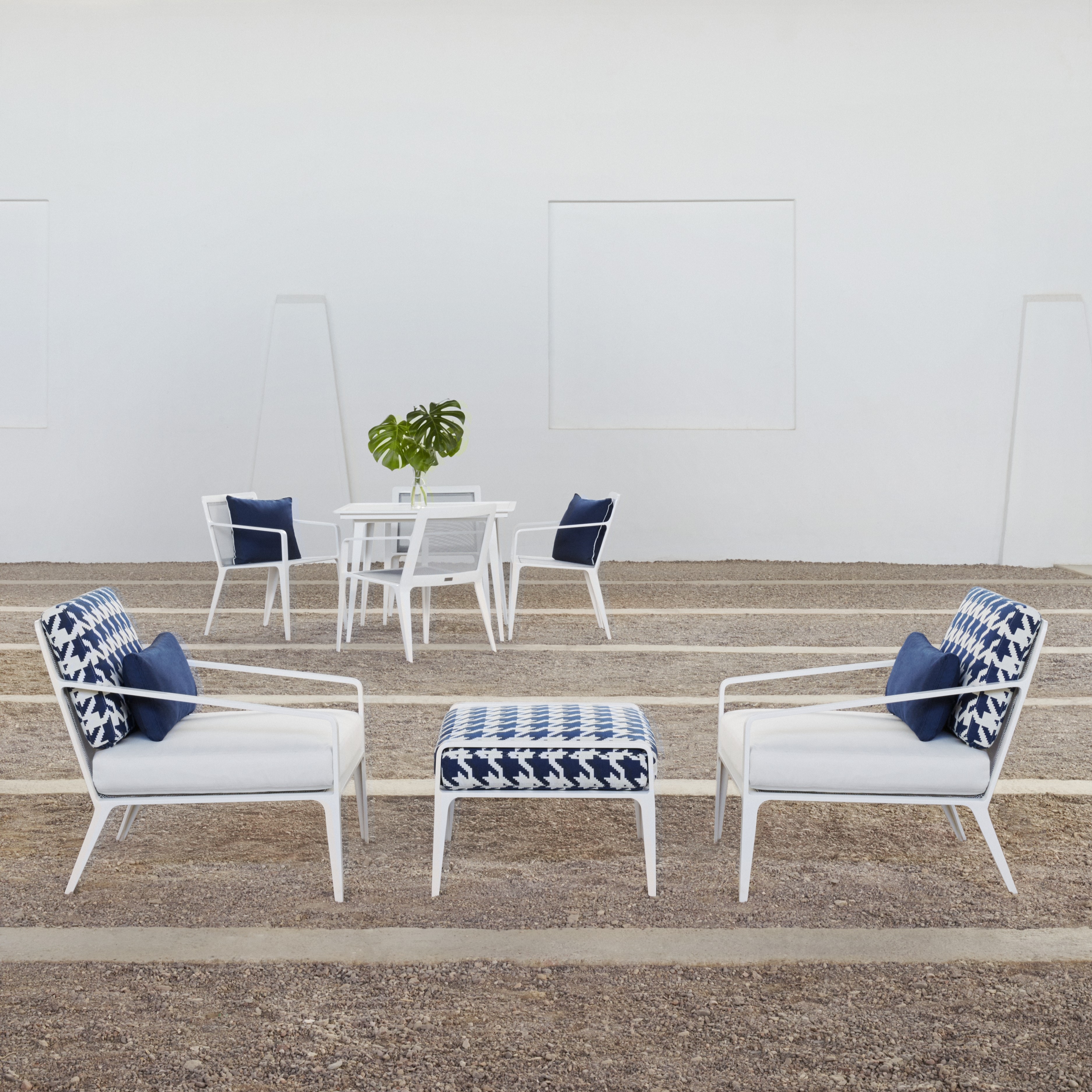 Collection Thumbnail