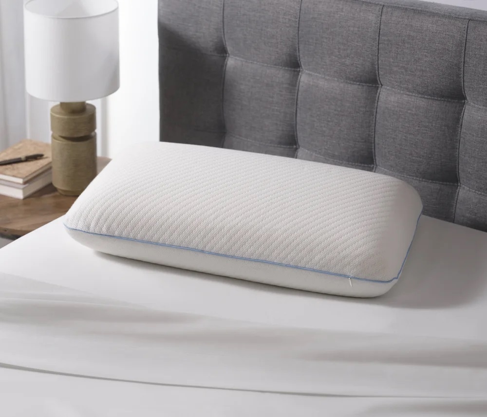 Queen Biofoam Pillow