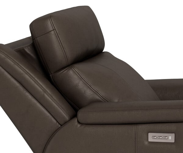 Palliser Asher Asher Wall Hugger Power Recliner