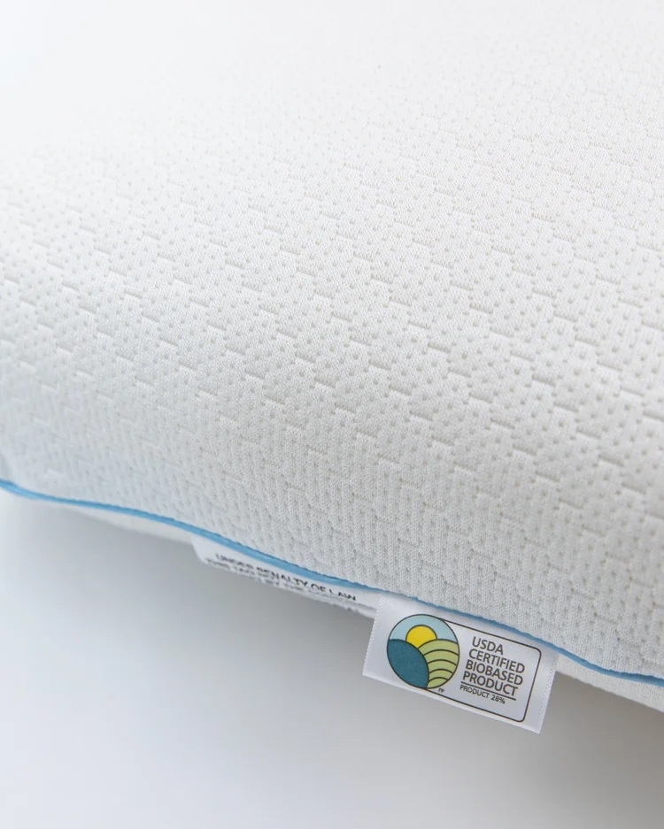 Queen Biofoam Pillow