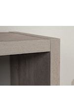 Sauder Miscellaneous Storage Transitional 2-Door Storage Cabinet with Adjustable Shelves