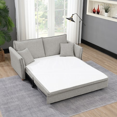 Sleeper Sofa