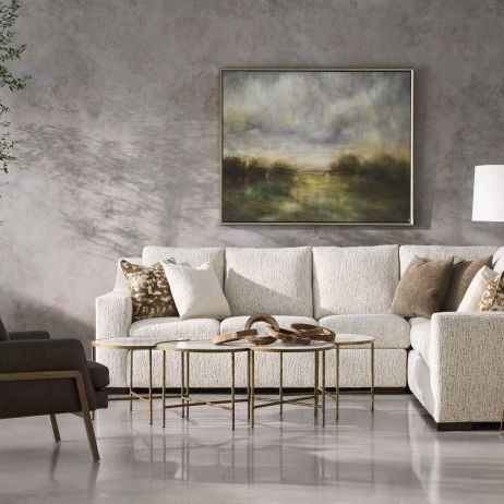 Collection Thumbnail