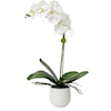 Uttermost Cami Orchid Cami White Orchid