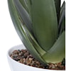 Uttermost Botanicals Evarado Aloe Planter