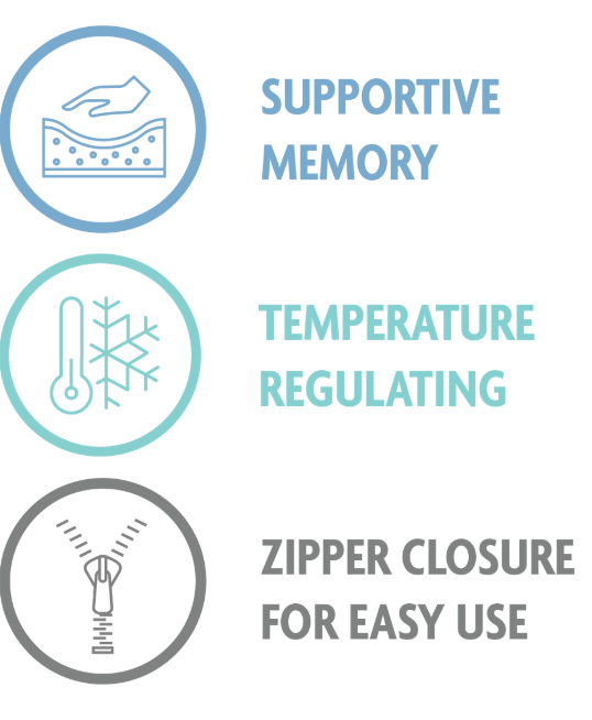 Queen Biofoam Pillow