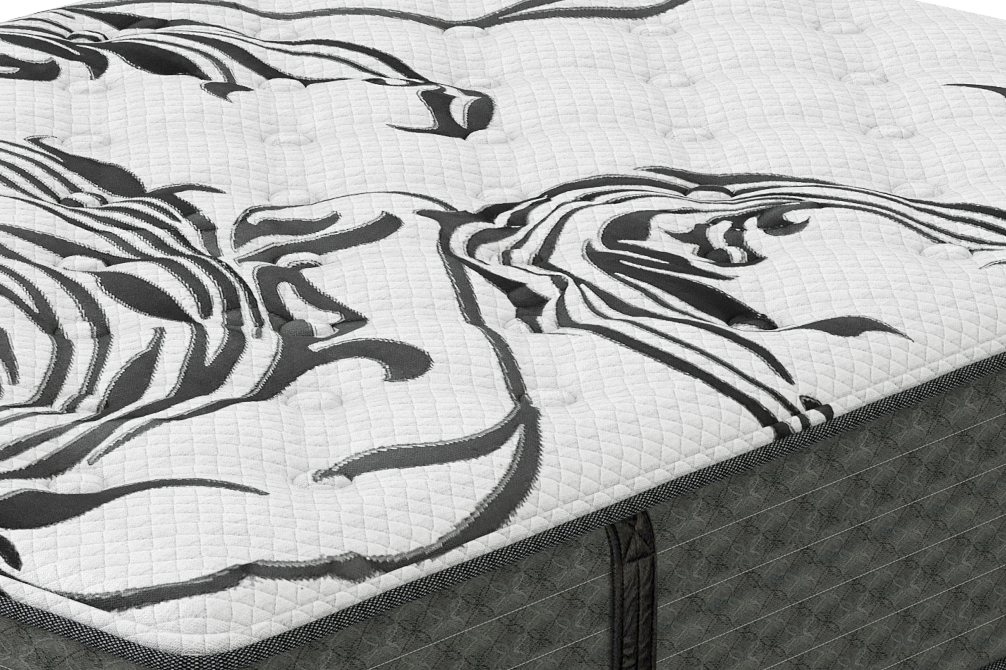 Queen Plush Mattress