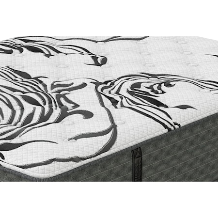 Queen Plush Mattress