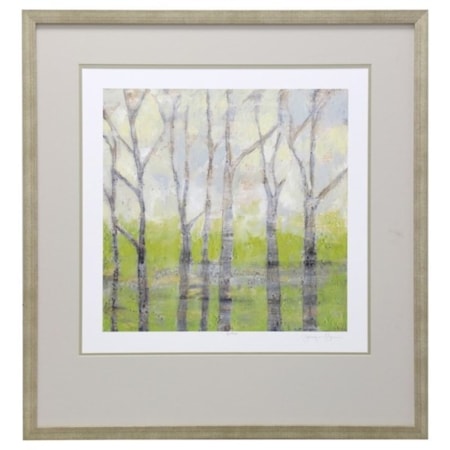 Birch Trees in Spring