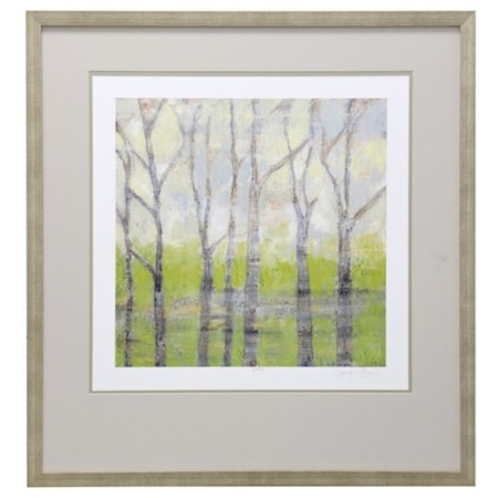 Birch Trees in Spring