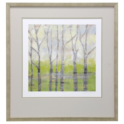 Birch Trees in Spring