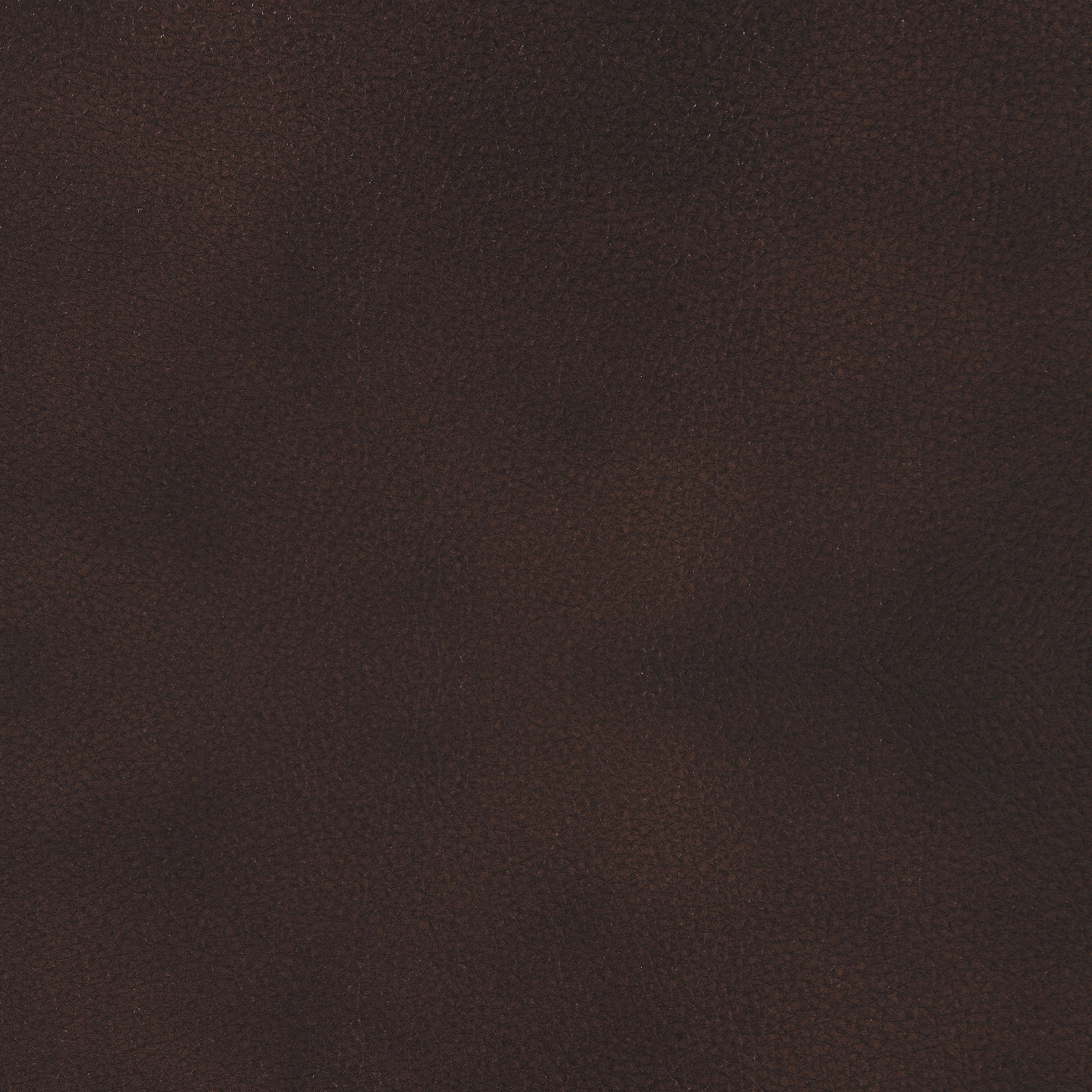 Coaster Sir Rawlinson Sir Rawlinson Nailhead Trim Motion Sofa