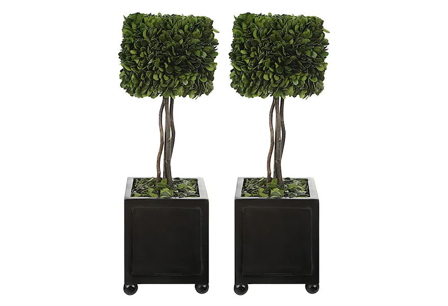 Preserved Boxwood Preserved Boxwood Square Topiaries, S/2 by Uttermost at Esprit Decor Home Furnishings