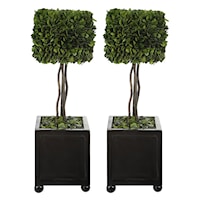 Preserved Boxwood Square Topiaries, S/2