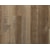 Color Swatch/Option
