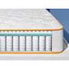 Beautyrest Comfort Vibe ZZZ Plush Twin 11 1/2" Plush Mattress Set