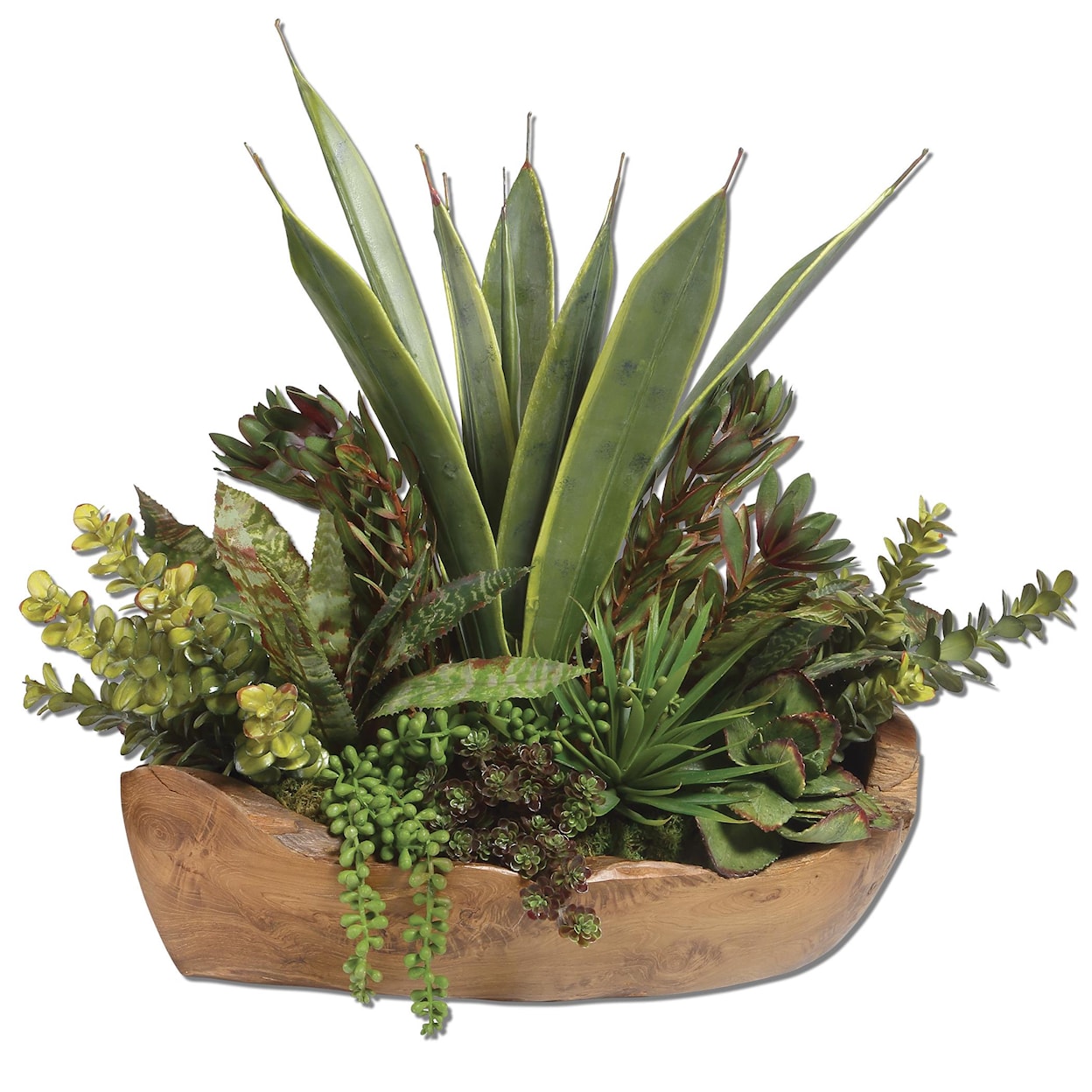 Uttermost Botanicals Salar Succulents In Teak Bowl