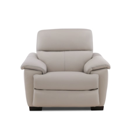 Wall Hugger Power Recliner