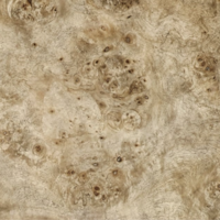 detail image