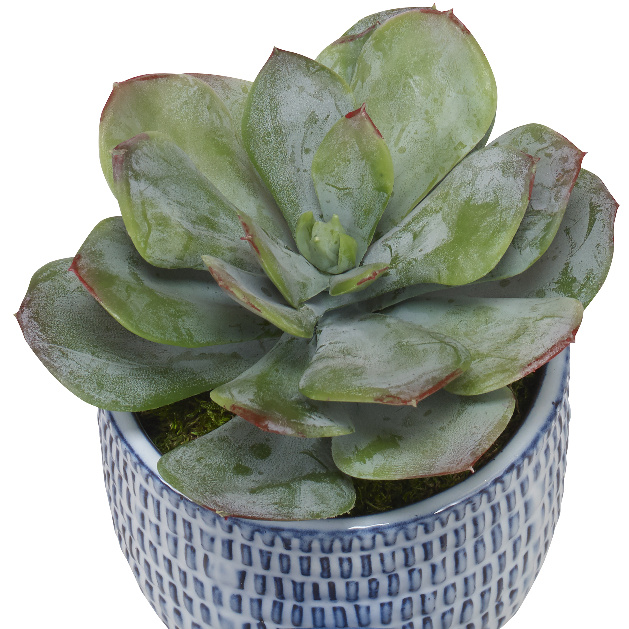 Uttermost Puebla Puebla Greenery In Blue & White Pots S/3