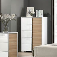 Contemporary Two Tone Bedroom Chest