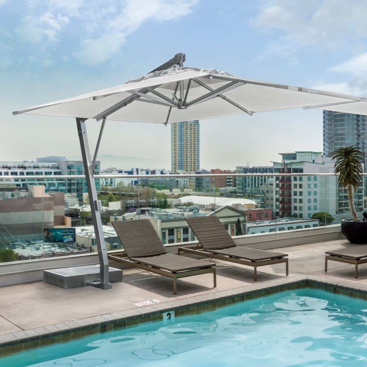 Collection Thumbnail