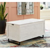 Ashley Signature Design Coltport Storage Trunk