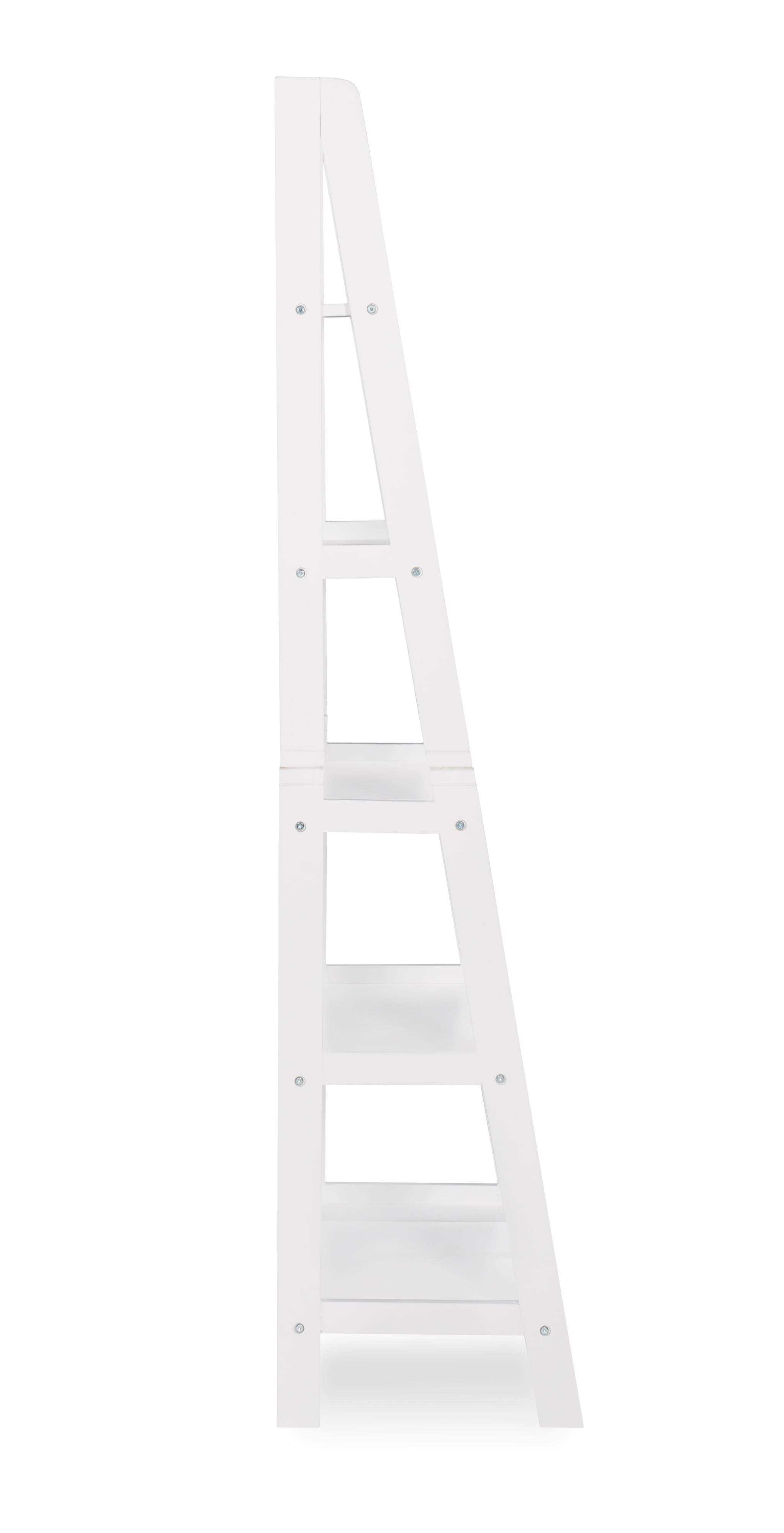 Ladder Bookshelf