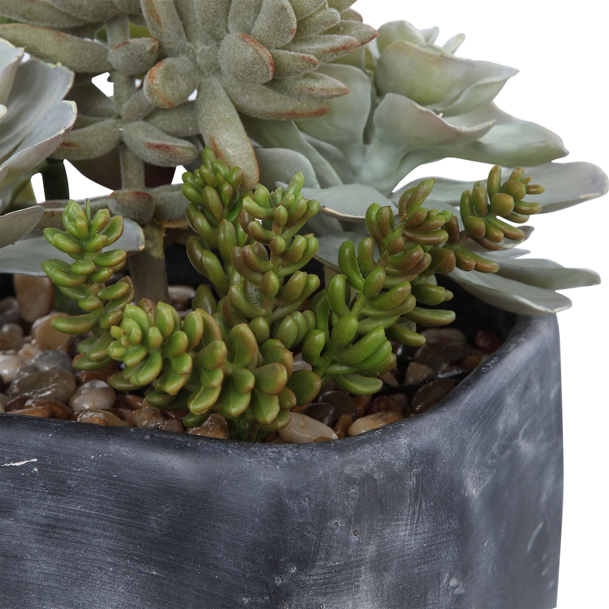 Uttermost Botanicals Alverio Desert Garden Succulents