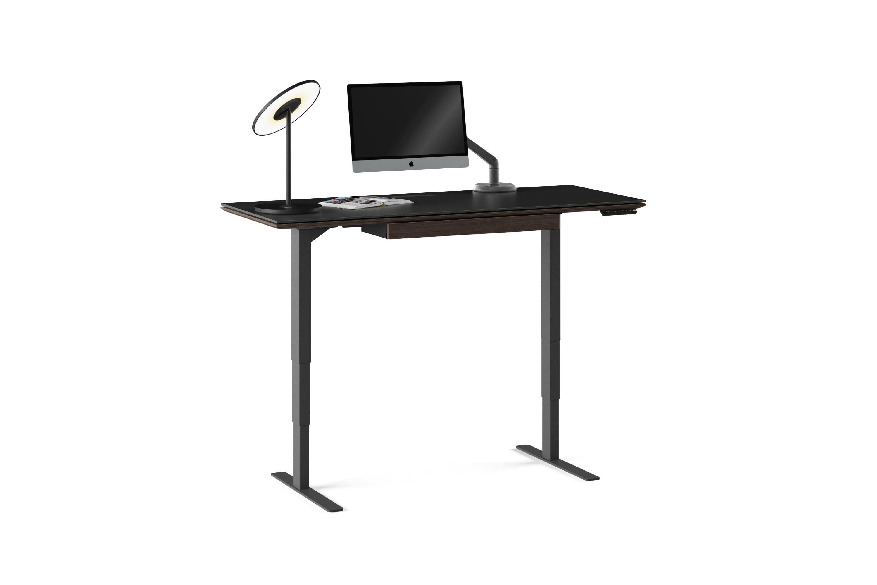 BDI Sequel 20 Standing Desk