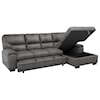 Homelegance Furniture Michigan 2-Piece Sectional with Pull-out Bed