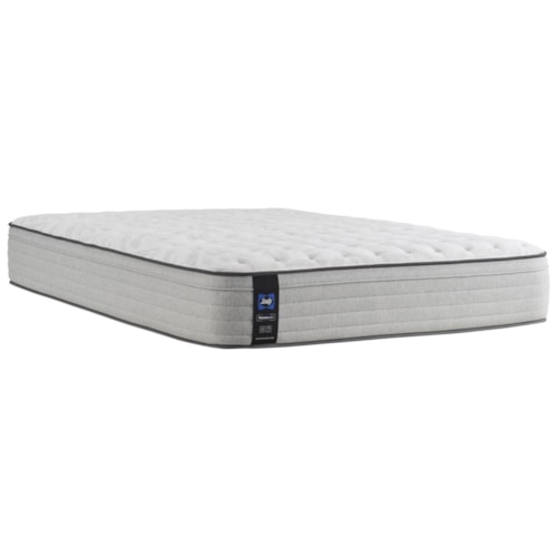 Queen Diggens Firm Euro-Top Encased Coil Mattress