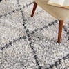 Nourison Oslo Shag 4' x 6'  Rug