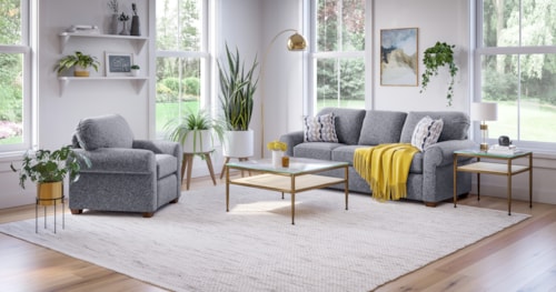 Transitional 2-Piece Living Room Set