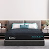 Americanstar Presidential Lux PRESIDENTIAL COOL LUXURY 14" | KING MATTRESS