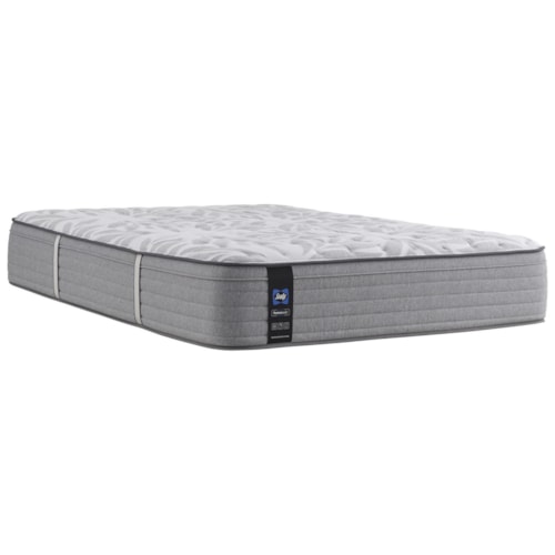 Queen Dantley Medium Firm Euro-Top Encased Coil Mattress