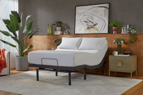 Queen BaseLogic Platinum Adjustable Base