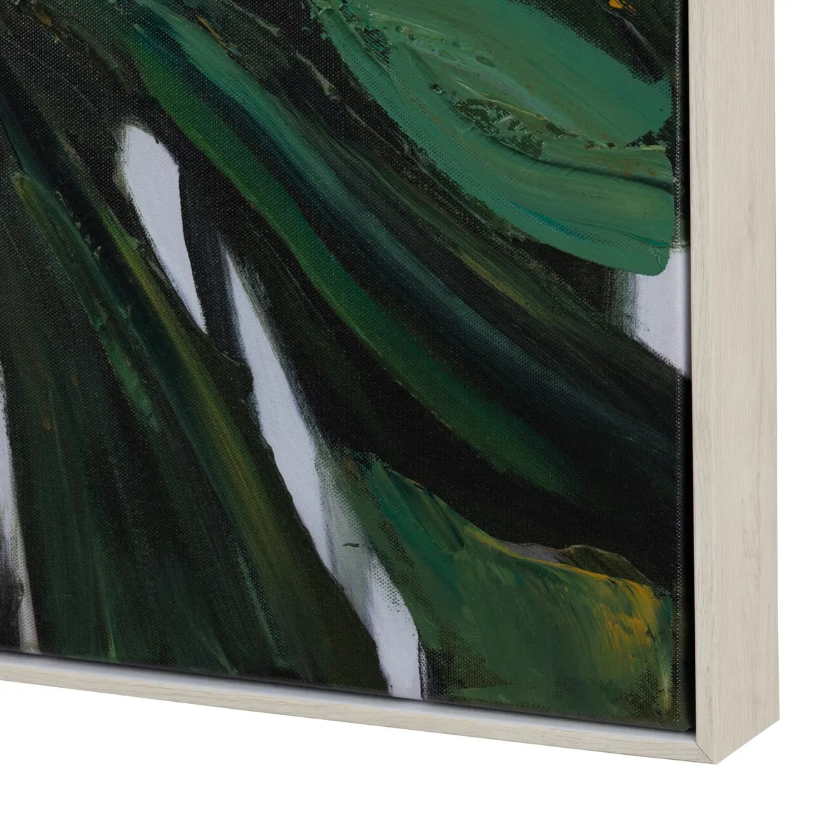 Exotica Framed Canvases - Set of 2